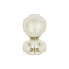 Polished Nickel=A800-PN